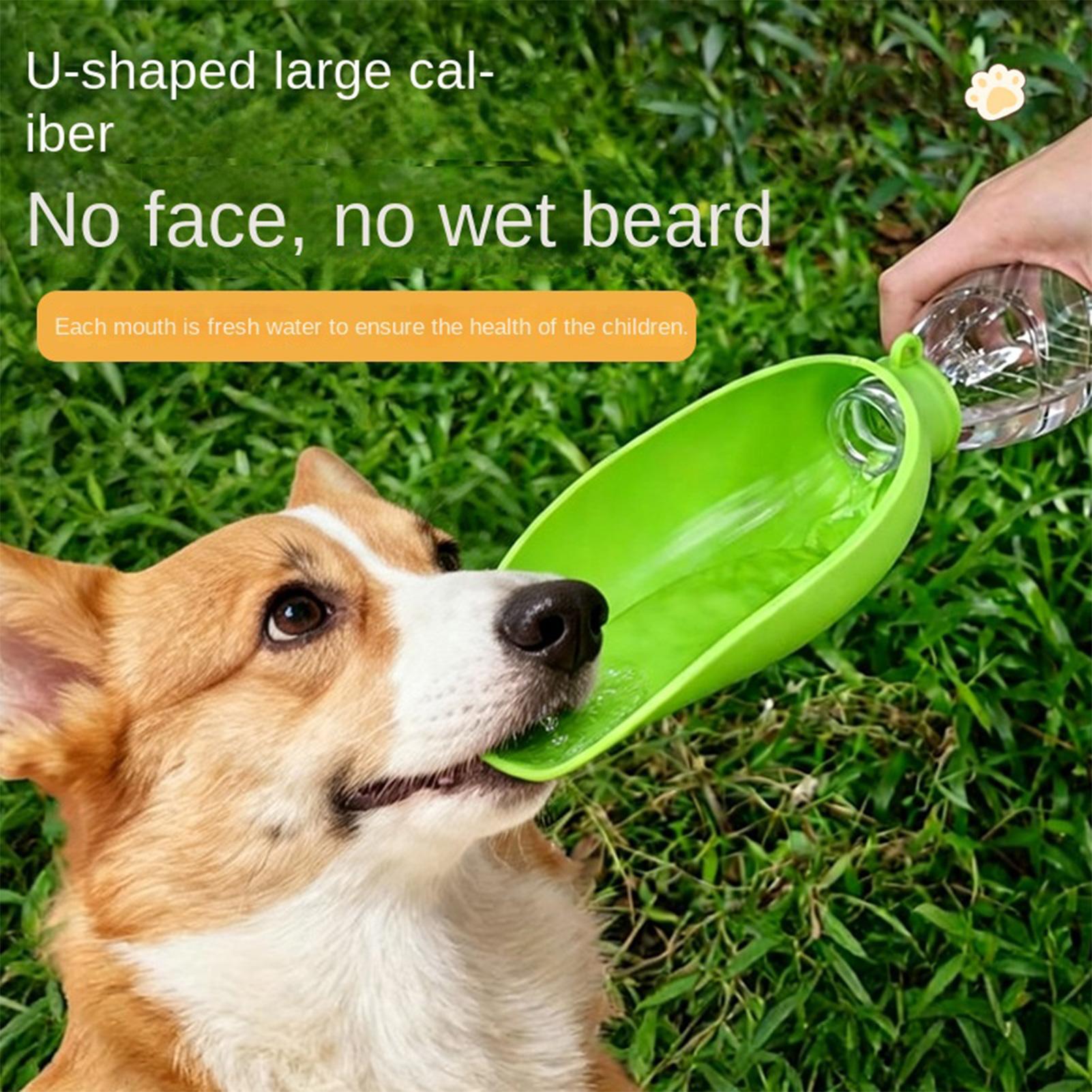 Travel Accessories Dog - Mangkuk Air Lipat Silikon untuk Anjing,