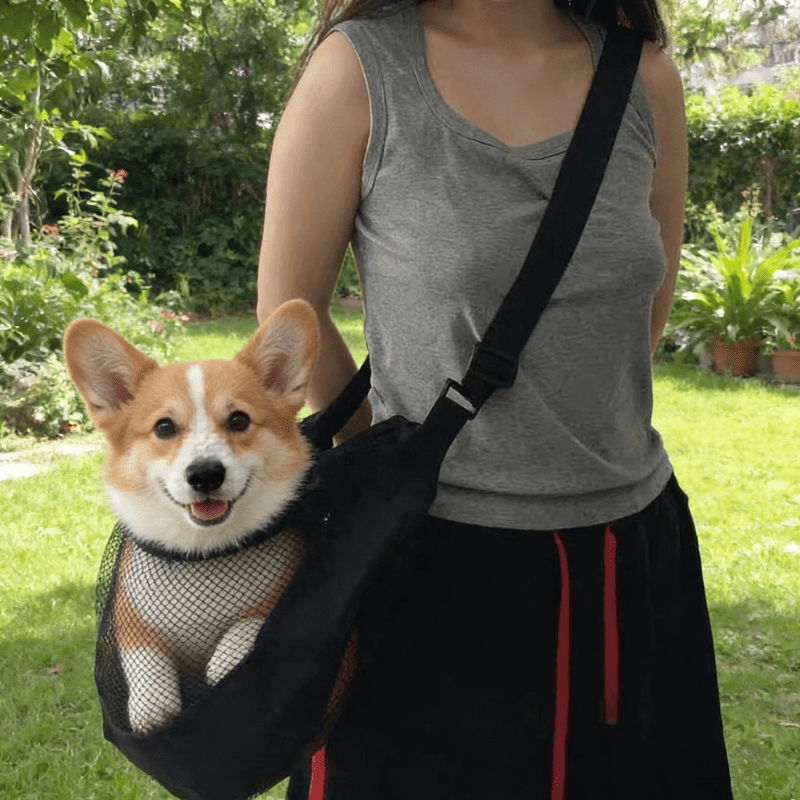 Tas Pembawa Anjing Berbahan Ja - Travel Accessories Dog ulasan dan harga
