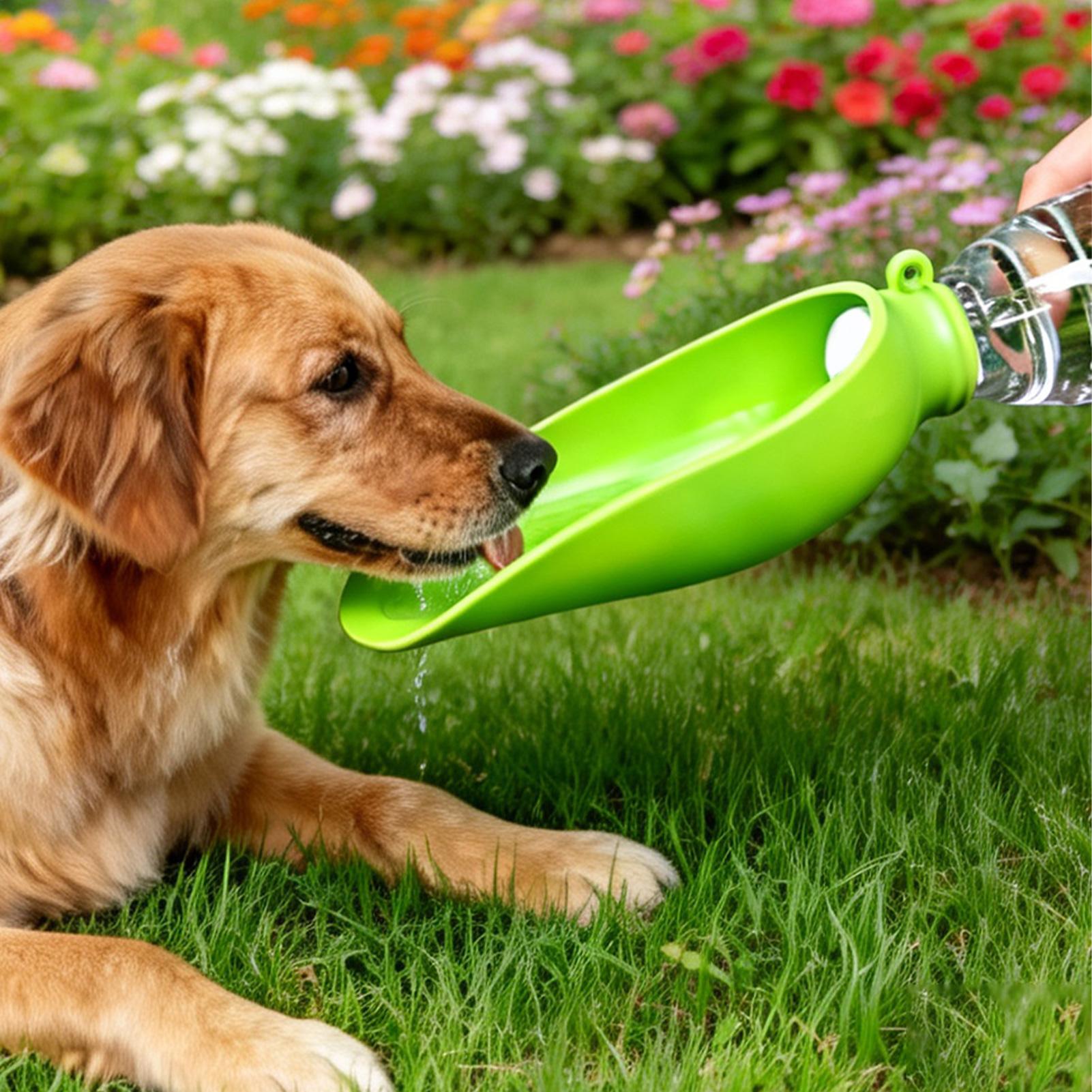 Mangkuk Air Lipat Silikon untu - Travel Accessories Dog ulasan dan harga