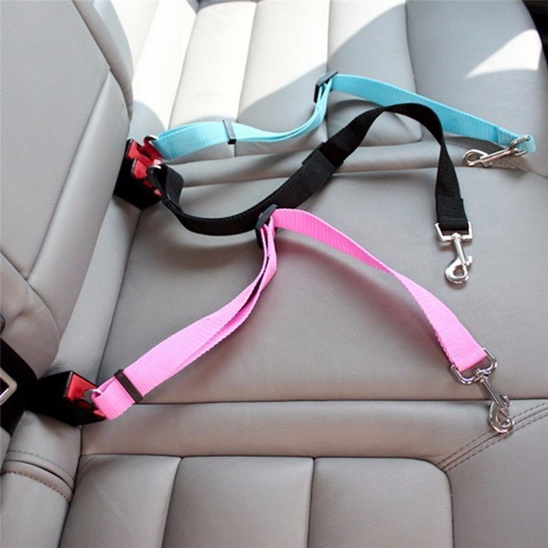 Sabuk Pengaman Mobil untuk Kuc - Travel Accessories Dog ulasan dan harga